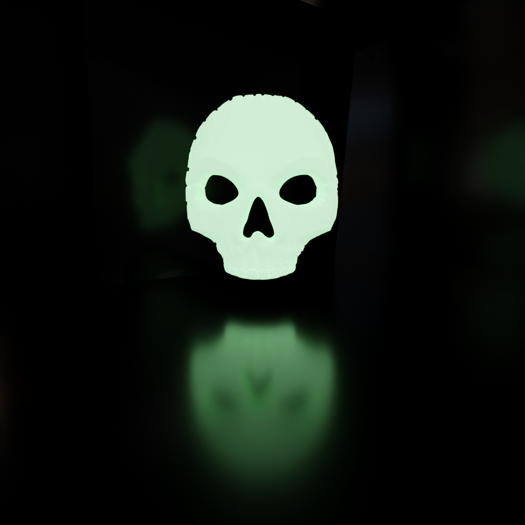 Ghost COD Game Character Mask